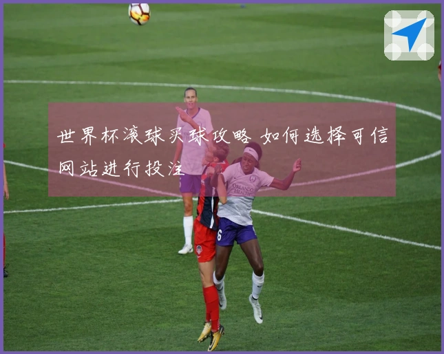 世界杯滚球买球攻略 如何选择可信网站进行投注
