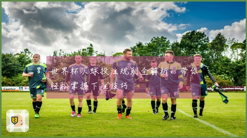 世界杯买球投注规则全解析，带你轻松掌握下注技巧