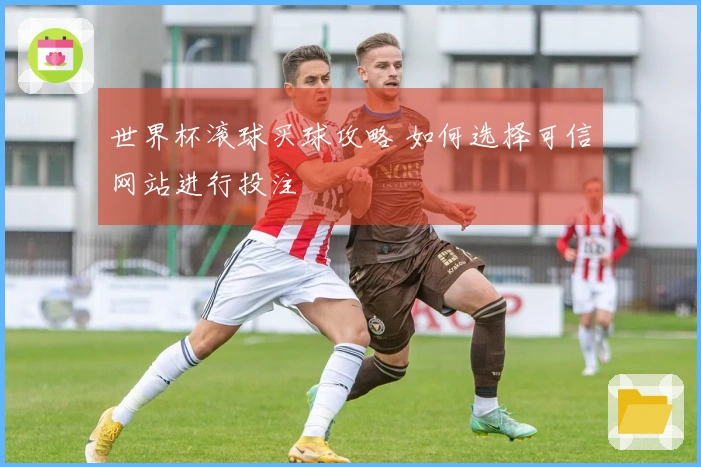 世界杯滚球买球攻略 如何选择可信网站进行投注