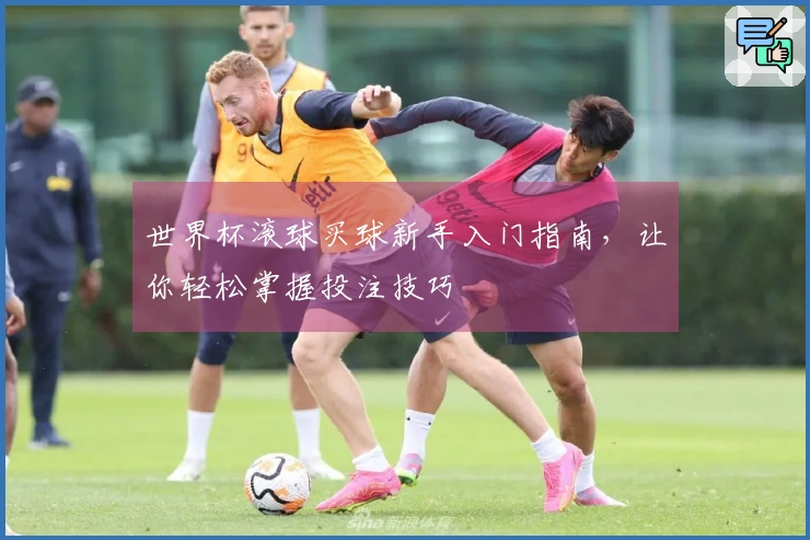 世界杯滚球买球新手入门指南，让你轻松掌握投注技巧
